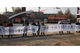 在中国如何电话讨债