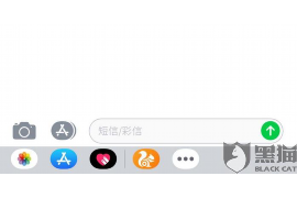 工作总结催收行业:回顾与展望 工作总结催收行业:回顾与展望