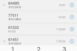 借款催收费合法吗？揭秘借款催收的法律边界