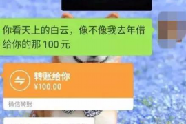 勐海要债公司电话号码查询：解决债务问题的便捷途径