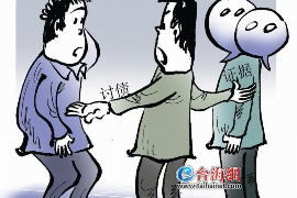 催收如何打政府：合规之路上的探索与挑战