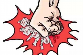 罗甸要钱公司排名：揭秘行业佼佼者，助力投资者明智选择