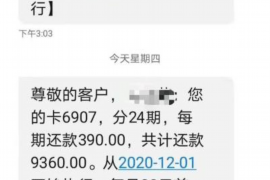 徐汇追债公司排名前十名:专业服务助力债务回收 徐汇追债公司排名前十名:专业服务助力债务回收