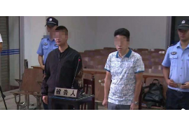 曾经的催收聊天记录：深度解析与案例分析