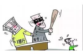 法人可以向股东讨债吗？