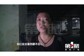 葫芦岛催账公司哪里找？专业催收，解决您的账款难题