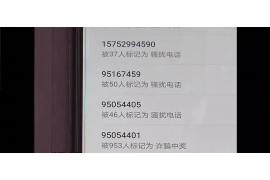 马大帅去家里要账