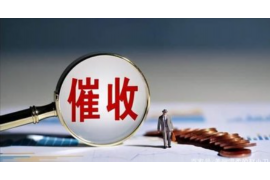 催收员工作收获：职场挑战与个人成长的双重盛宴
