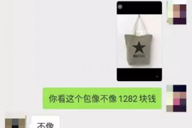 荒野大镖客讨债没钱：揭秘讨债困境与解决方案