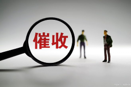 河北邯郸催收现象解析