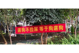 催收说我恶意透支:了解真相,维护自身权益 催收说我恶意透支:了解真相,维护自身权益