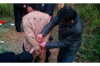 随州智慧停车催收：如何应对停车费催收难题